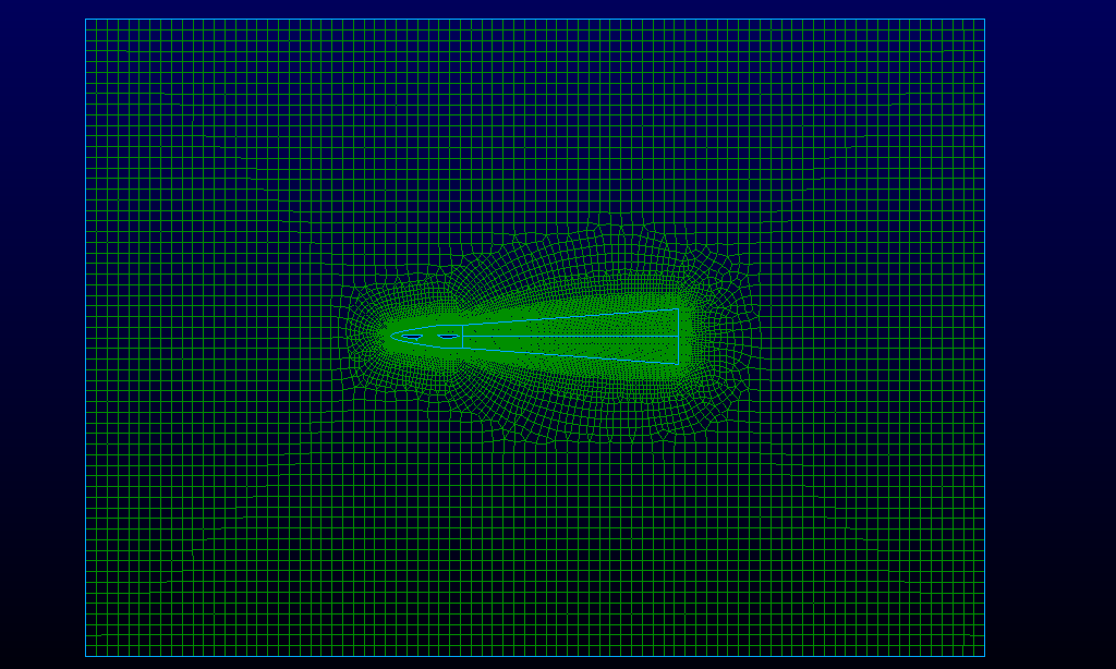 Figure 2 - Farfield view of mesh